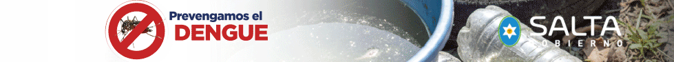 Banner publicitario